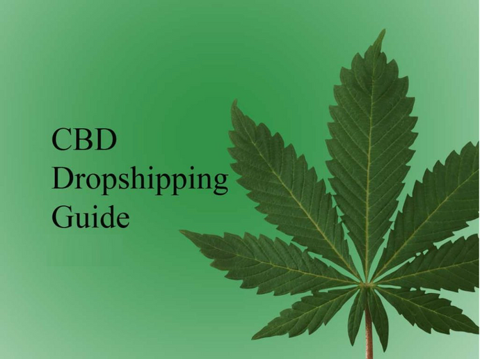 Le guide du Dropshipping CBD
