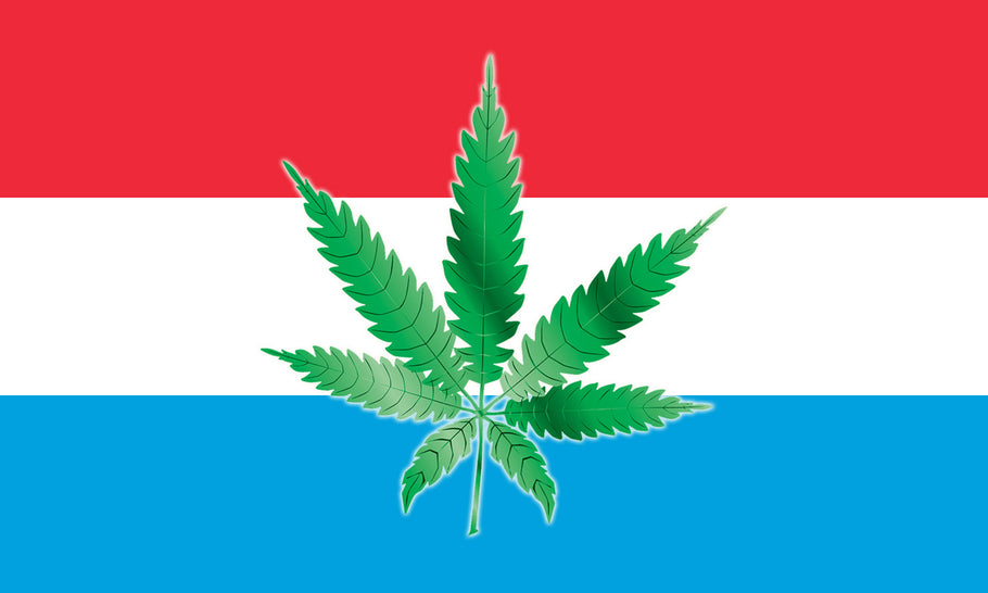 Weed, Luxembourg et la légalisation