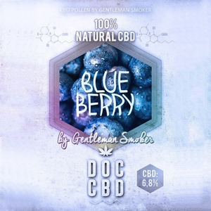 Blue Berry CBD